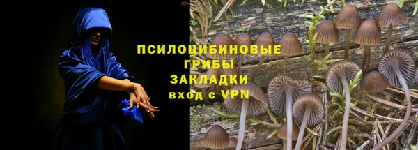 стаф Балабаново