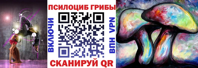 Псилоцибиновые грибы Cubensis  Ряжск 