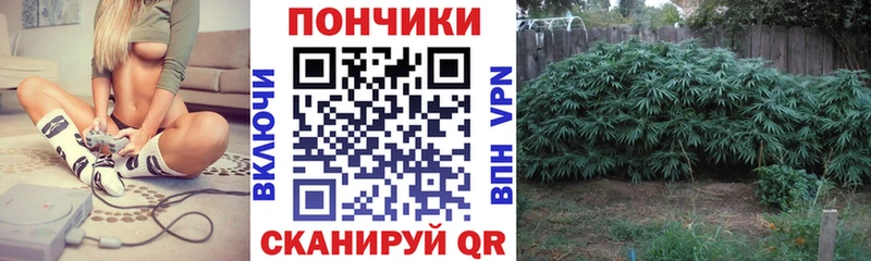 darknet состав  Ряжск  Конопля семена 